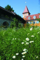 Grossansicht in neuem Fenster: Storchenturm