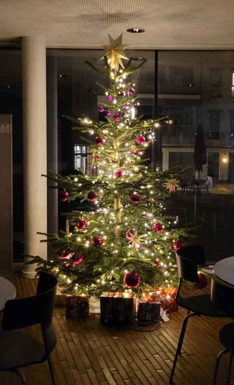 Weihnachten in der Bibliothek